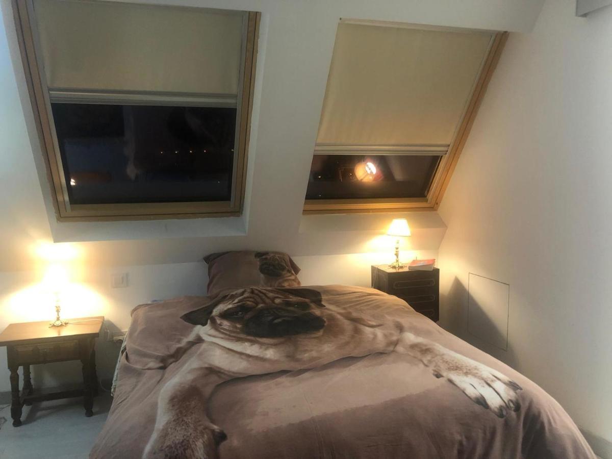 Guadarrama, Atico Nuevo Con Espectaculares Vistas Apartamento Exterior foto